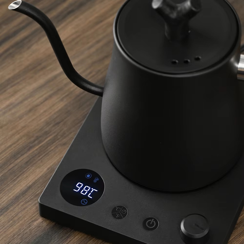 Electric Kettle Temperature Control - 1000ml 구스넥 전기 주전자 스테인리스 스틸