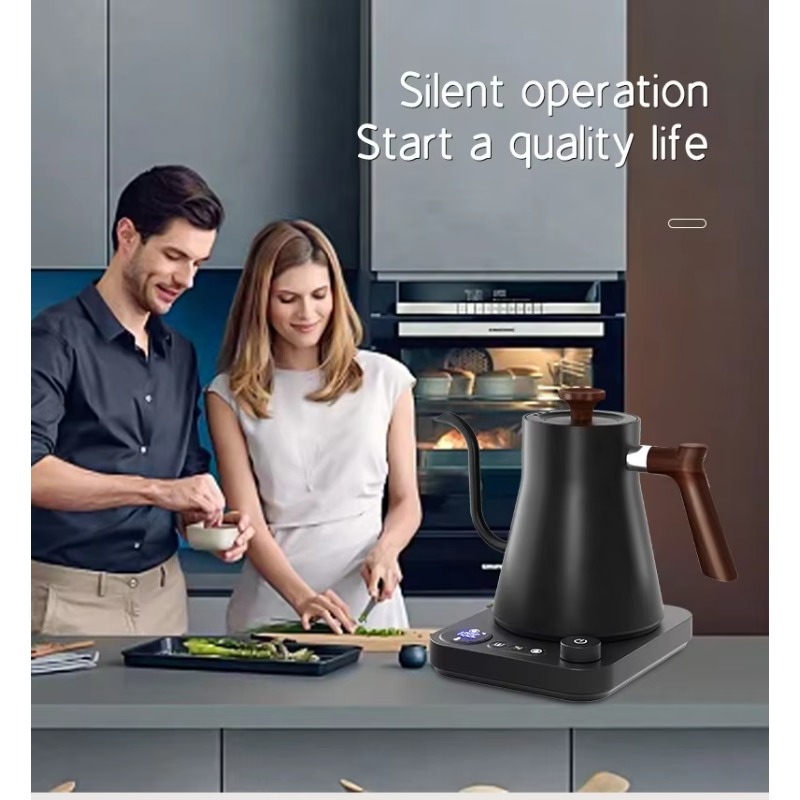 새로운 디자인의 피쉬 스마트 전기 주전자, 구스넥 가변 - Electric Kettle Temperature Control 리뷰 및 가격