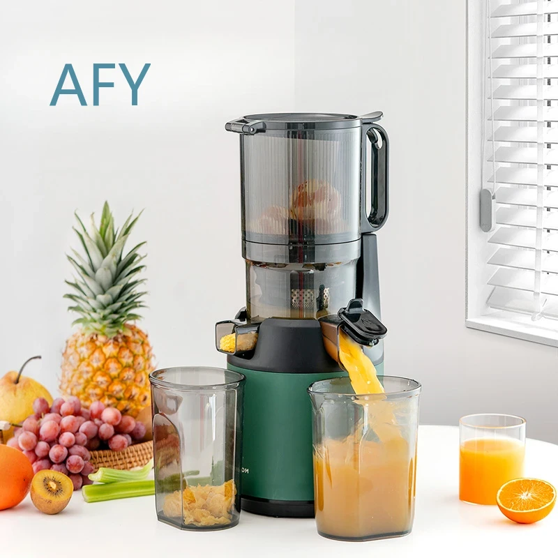 220V 저속 착즙기, 냉압착 과일 착즙기, 필터 불필 - Electric Slow Juicer Cold Press 리뷰 및 가격
