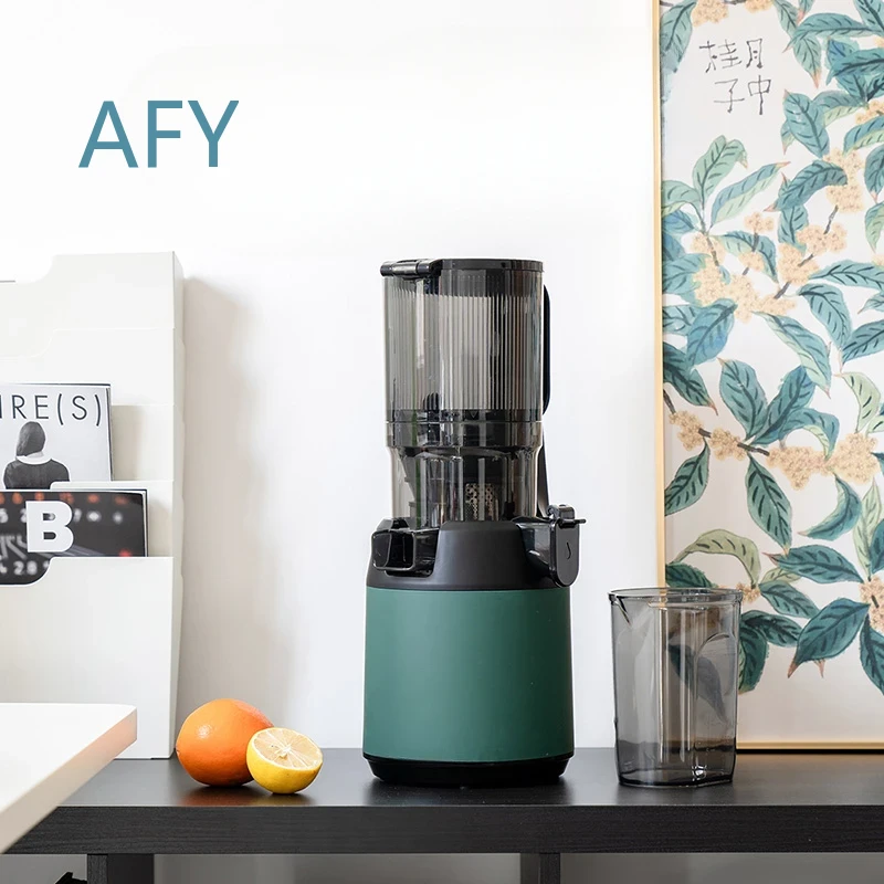 220V 저속 착즙기, 냉압착 과일 착즙기, 필터 불필 - Electric Slow Juicer Cold Press 리뷰 및 가격