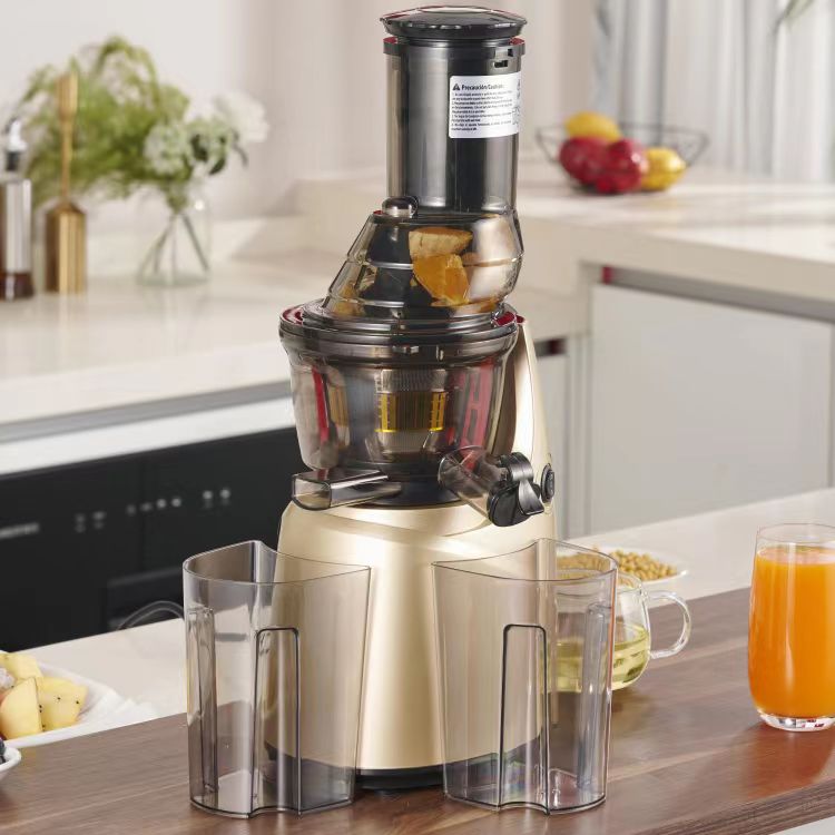 최고의 스테인리스 스틸 60가지 다기능 가정용 저속 착 - Electric Slow Juicer Cold Press 리뷰 및 가격