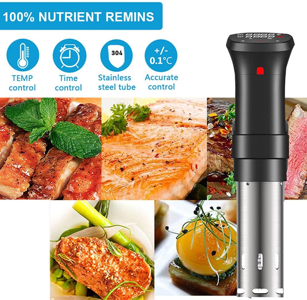 고기용 Sous Vide 기계 정밀 쿠커 초저소음 침수 - Digital Sous Vide Precision Cooker 리뷰 및 가격