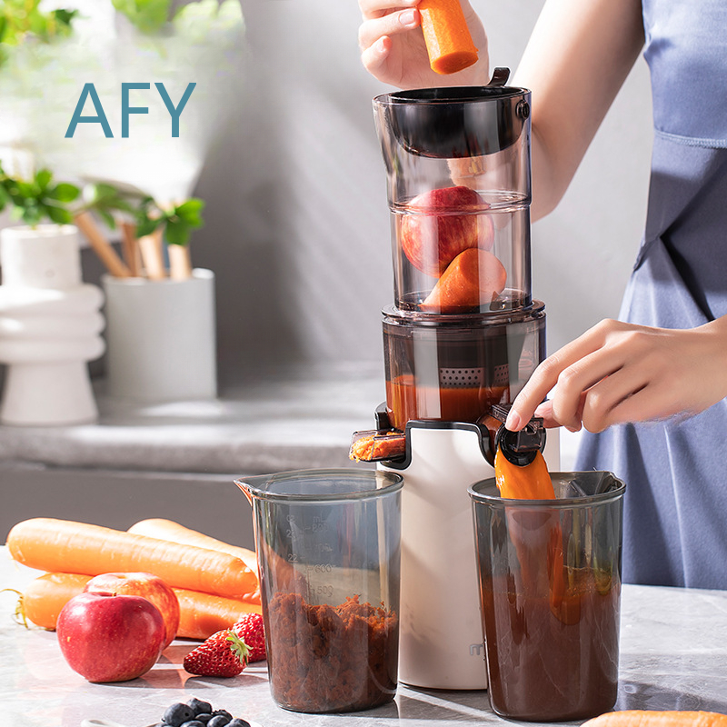 220V 가정용 전기 저속 착즙기, 대형 투입구와 펄프 - Electric Slow Juicer Cold Press 리뷰 및 가격