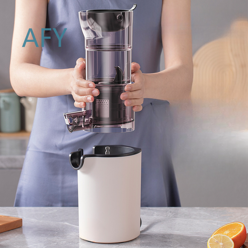 220V 가정용 전기 저속 착즙기, 대형 투입구와 펄프 - Electric Slow Juicer Cold Press 리뷰 및 가격