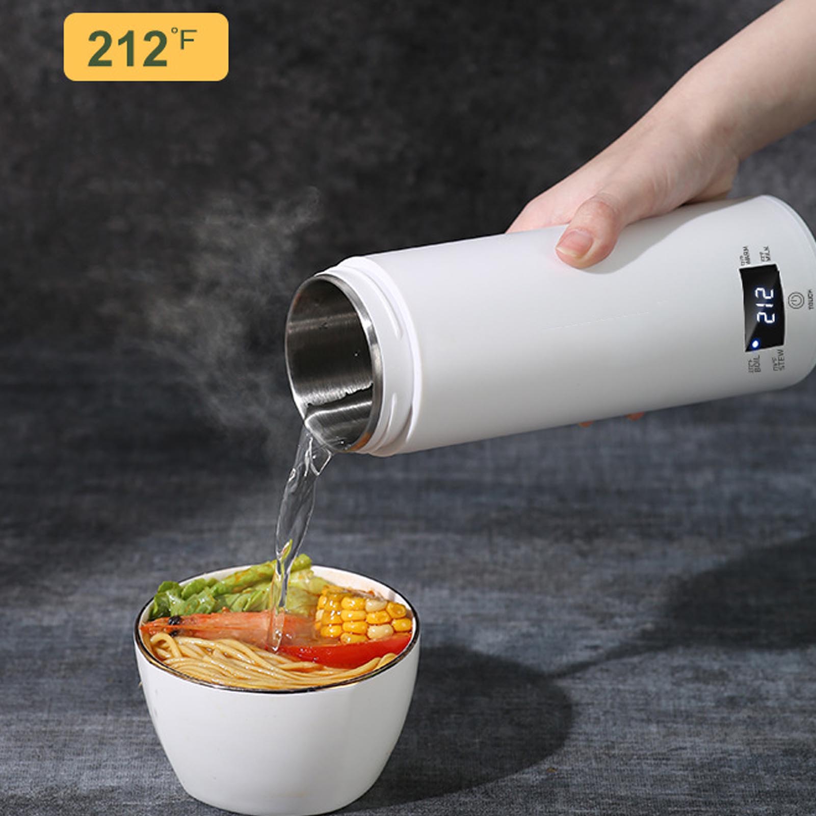 미니 휴대용 전기 주전자 450ml 온도 조절 기능 3 - Electric Kettle Temperature Control 리뷰 및 가격