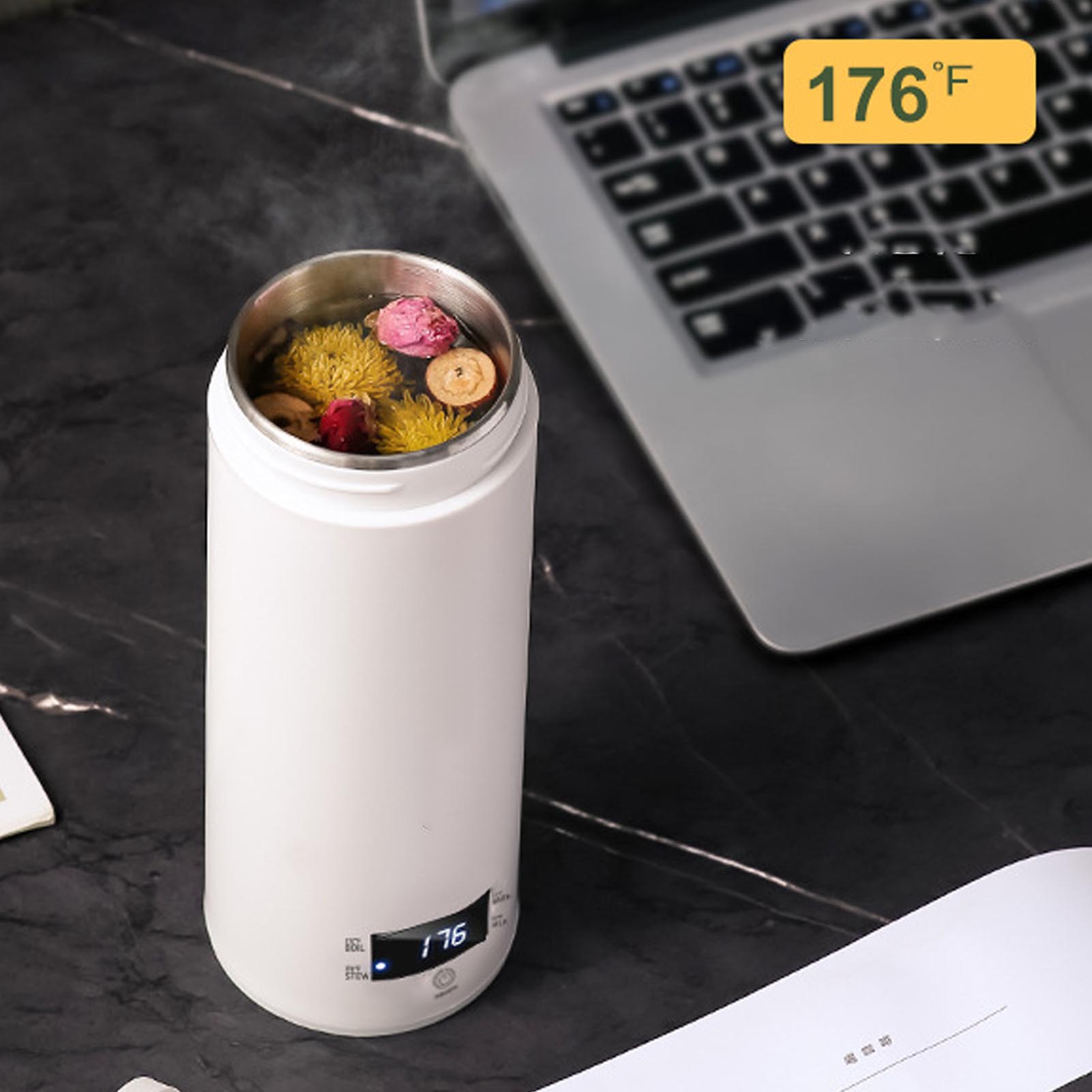 미니 휴대용 전기 주전자 450ml 온도 조절 기능 3 - Electric Kettle Temperature Control 리뷰 및 가격