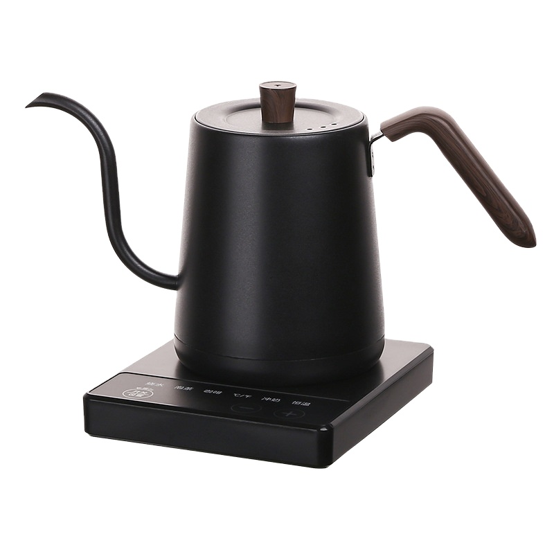 스테인리스 스틸 소형 온도 조절 전기 구스넥 주전자 ( - Electric Kettle Temperature Control 리뷰 및 가격