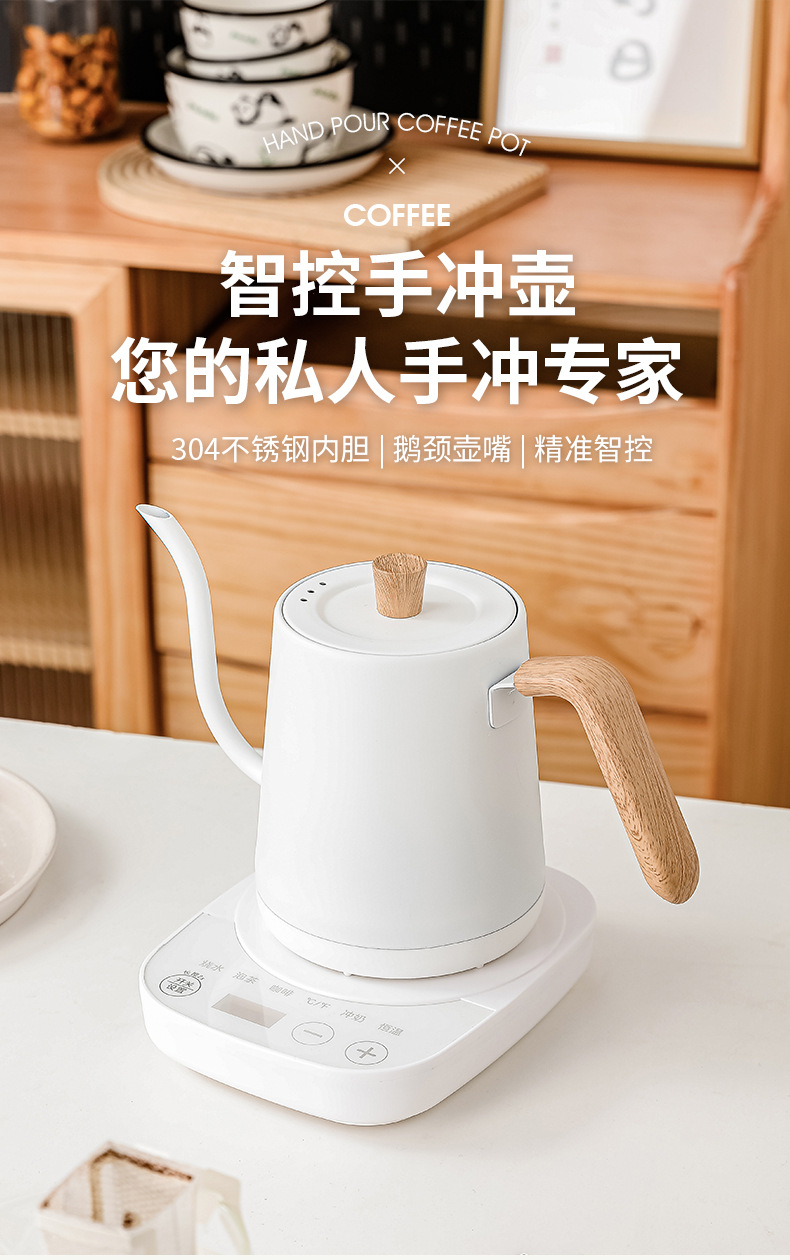 스테인리스 스틸 소형 온도 조절 전기 구스넥 주전자 ( - Electric Kettle Temperature Control 리뷰 및 가격