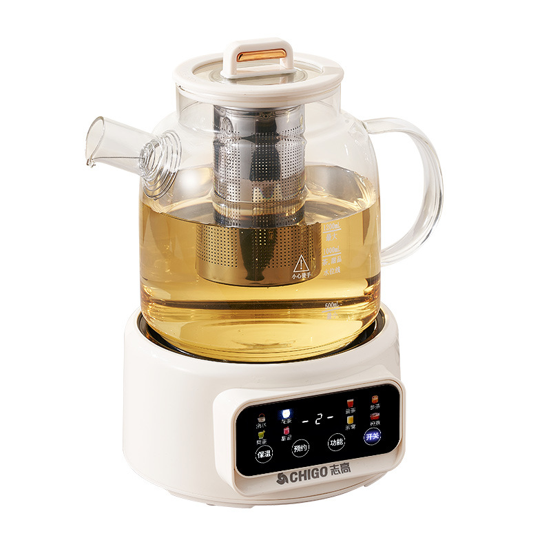 600W 다기능 건강 주전자 온도 조절 유리 꽃무늬 티 - Electric Kettle Temperature Control 리뷰 및 가격
