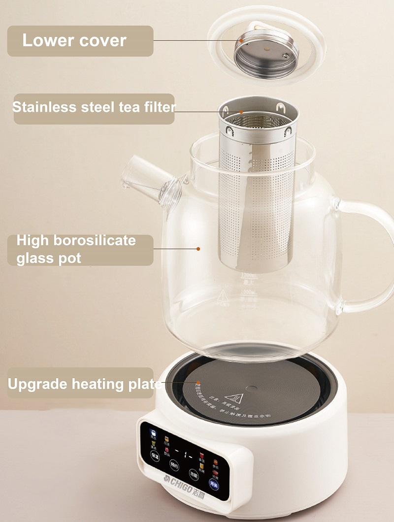 600W 다기능 건강 주전자 온도 조절 유리 꽃무늬 티 - Electric Kettle Temperature Control 리뷰 및 가격