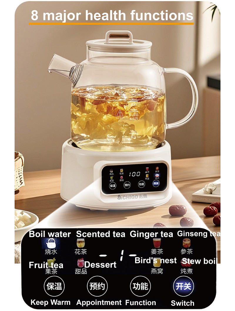 600W 다기능 건강 주전자 온도 조절 유리 꽃무늬 티 - Electric Kettle Temperature Control 리뷰 및 가격