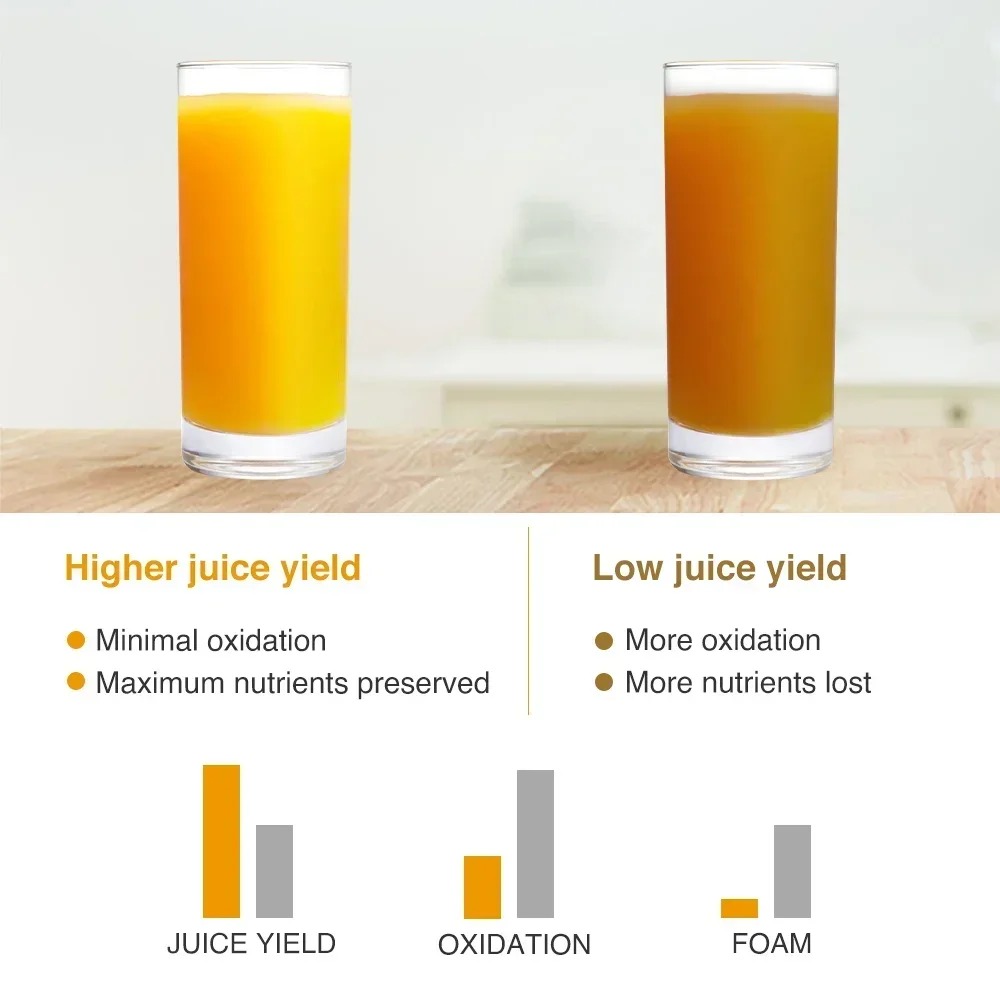 핫세일 250W 저속 착즙기 야채 및 과일용 스크류 콜 - Electric Slow Juicer Cold Press 리뷰 및 가격